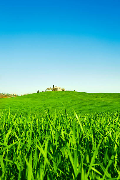 istock House by a green field in Tuscany 175439006