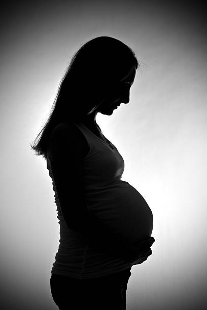 istock Pregnant Woman Silhouette 175439040