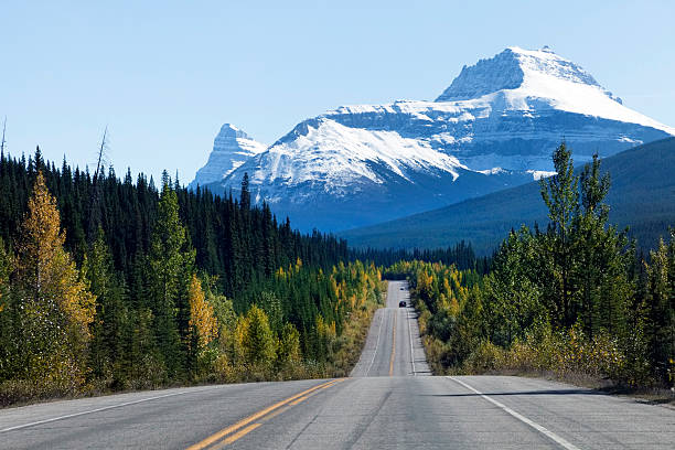 Icefield Parkway, Canada - foto stock