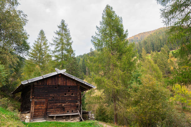 Two wooden cabins are standing on a green mountain meadow, enjoying a beautiful summer day with a blue sky and white clouds