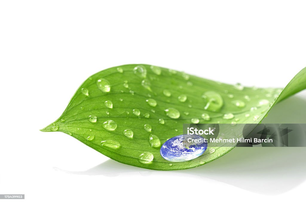 Świat glob na zielony liść - Zbiór zdjęć royalty-free (Liść)