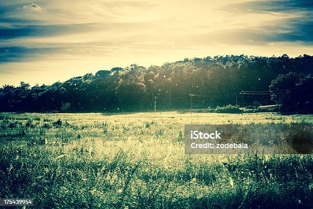 Country Landscape At Sunset In Spring Tuscany Stock Photo - Download Image Now - Agricultural Field, Beauty, Beauty In Nature