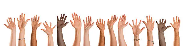 A crowd of mixed race and mixed nationality arms are all waving towards the camera together. They are united in a peaceful celebration. The arms and hands are all isolated on a white background with a clipping path. Some of the fingers have rings on and some of the wrists have bracelets.