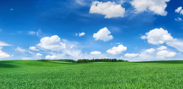 vista panorámica del paisaje de primavera xxxxl 60 mpix- green field, blue sky - hill green california grass fotografías e imágenes de stock