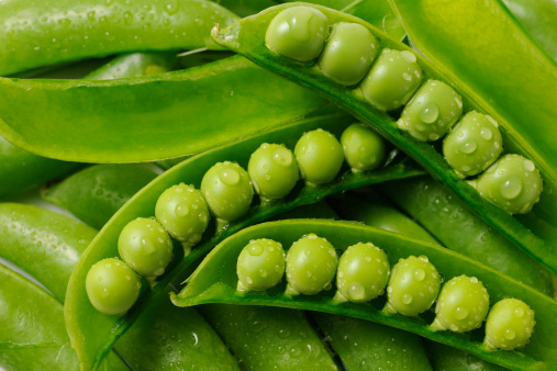 Close-up of stacked opened fresh green peas with water droplets.
