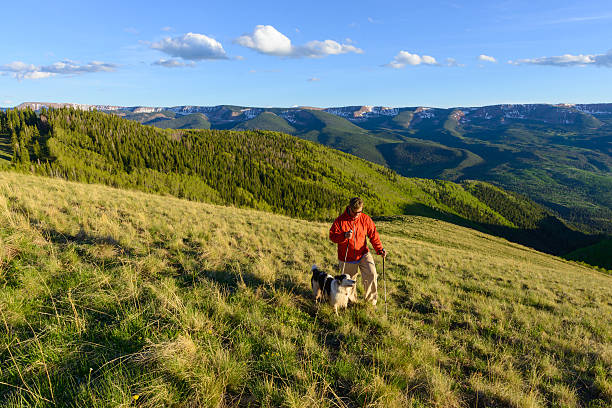 istock Man and Dog Hiking at Sunset on Mountain Ridge 175441506
