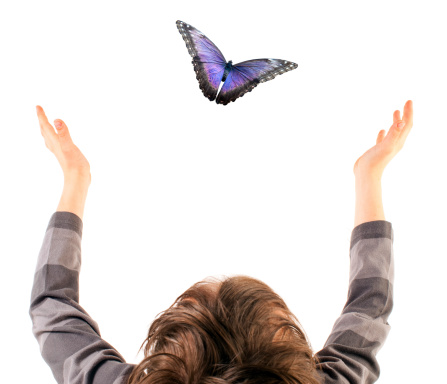 Boy releases a butterfly.