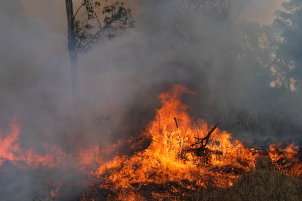 istock A stunning veld fire in a field in between a suburb and a railway 1754417520