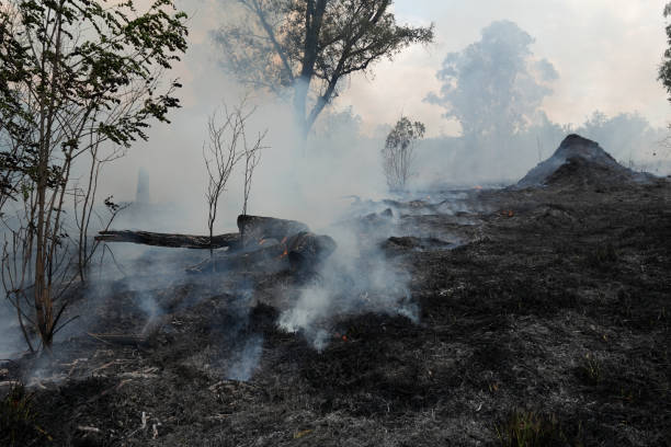 istock A stunning veld fire in a field in between a suburb and a railway 1754418772