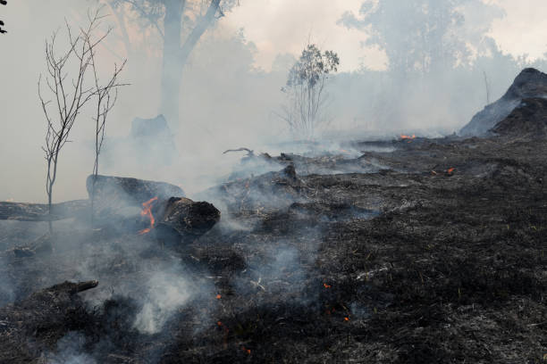 istock A stunning veld fire in a field in between a suburb and a railway 1754418784