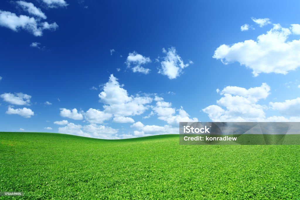 Green Feld - Lizenzfrei Anhöhe Stock-Foto