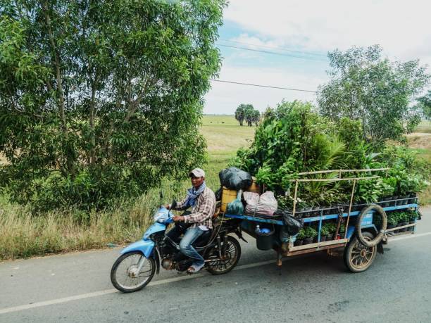 Rural Kampong Thom, Cambodia-September 4, 2018: Goods transported on Cambodian highway with a motorcycle and overloaded trailer.