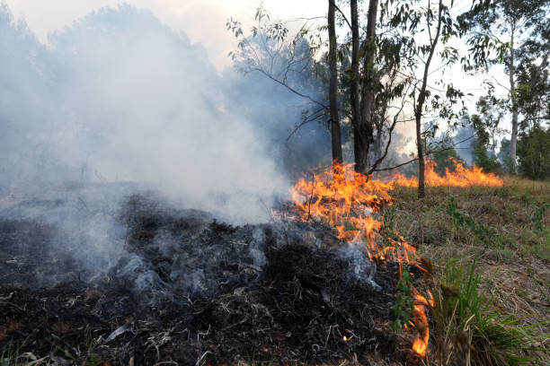 istock A stunning veld fire in a field in between a suburb and a railway 1754424063