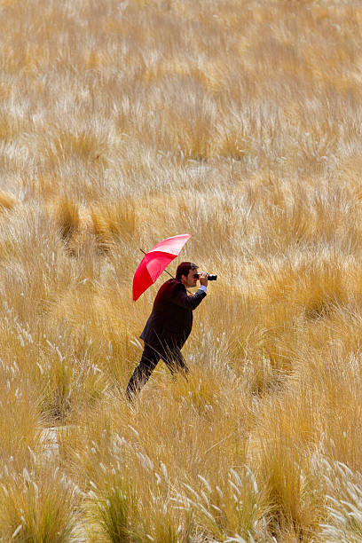 búsqueda de trabajo - thinking professional occupation unemployment job search fotografías e imágenes de stock