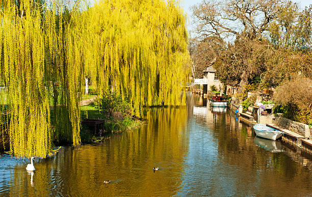 istock River Great Ouse at Godmanchester 175442717