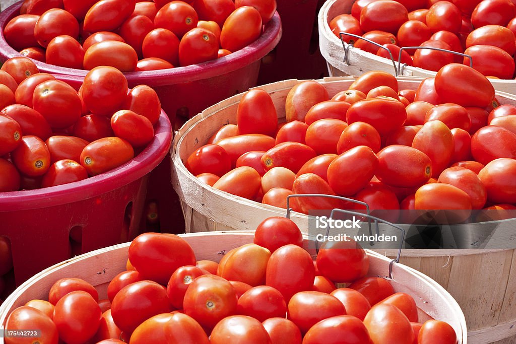 Filas de tomate Baskets - Foto de stock de Cesta libre de derechos