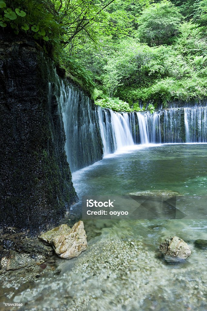 夏の滝 - 日本のロイヤリティフリーストックフォト