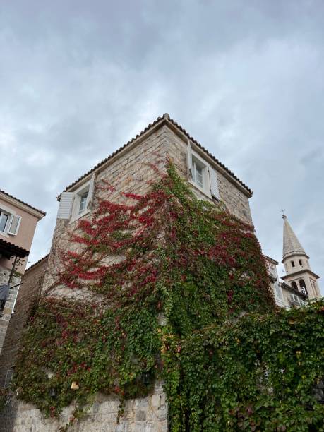 istock Old building covered with greenery, Old Town, Budva, Montenegro 1754439302