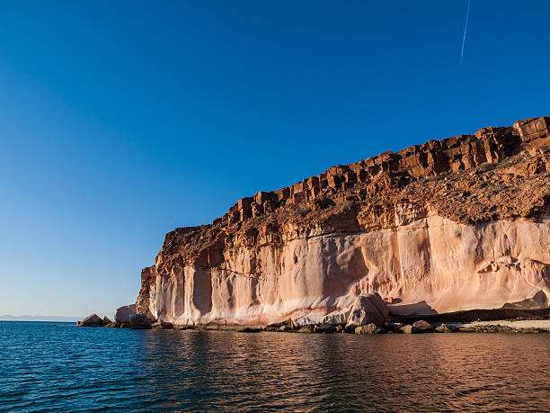 istock Seal Rocks near La Paz, Mexico 175444060