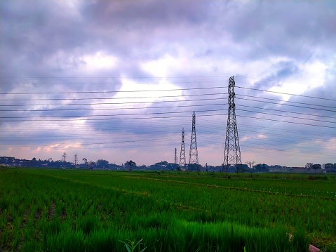 High-voltage power towers in the middle of rice paddies
