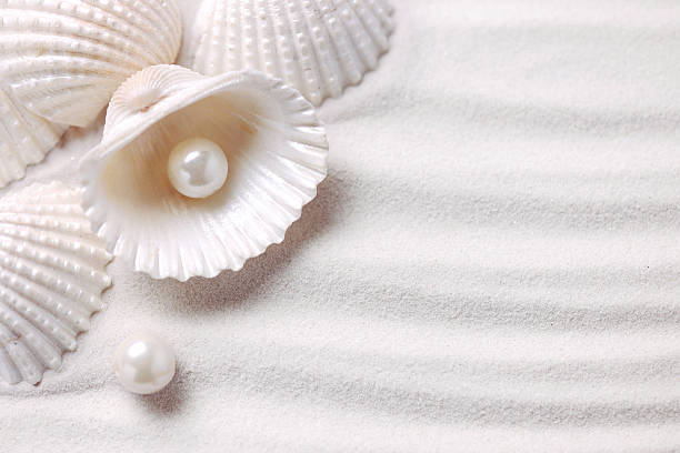 conchiglie con perle - seashell shell sand copy space foto e immagini stock