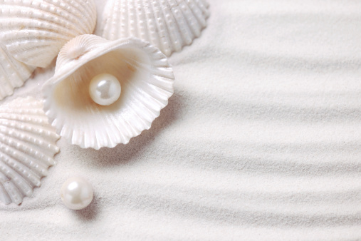 A seashell on sandy shore with approaching wave