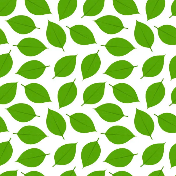 Vector illustration of Green Leaf Vector Seamless Pattern. Modern Stylish Abstract Texture.
