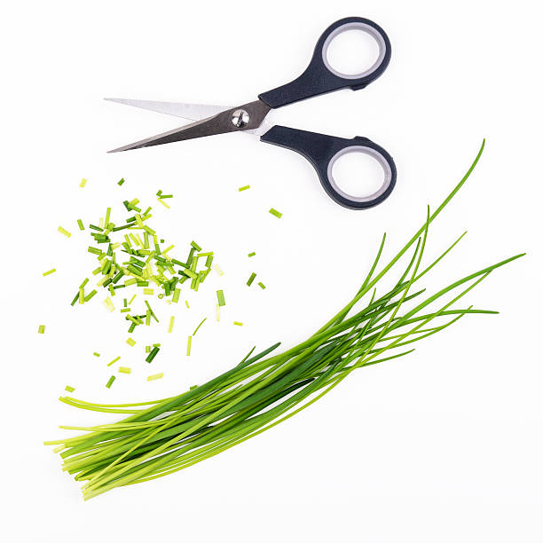 Chive and scissors Food and Drink chive photos stock pictures, royalty-free photos & images