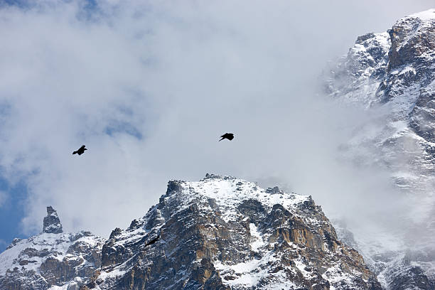 istock Kanchenjunga. Everest Circuit. Nepal motives 175444914