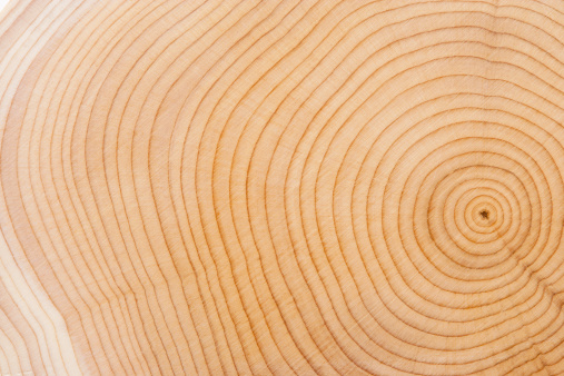 Textura de madera photo