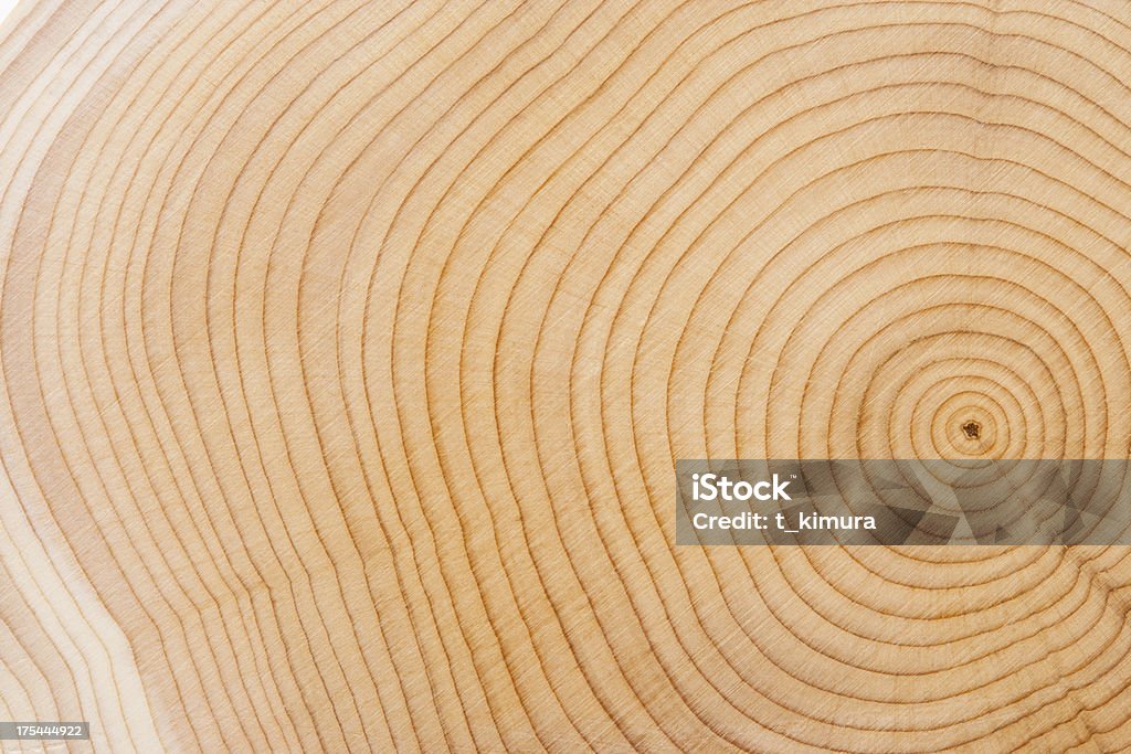 Texture de bois - Photo de Anneau de croissance d'un arbre libre de droits