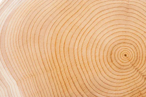 Photo of Wood Texture