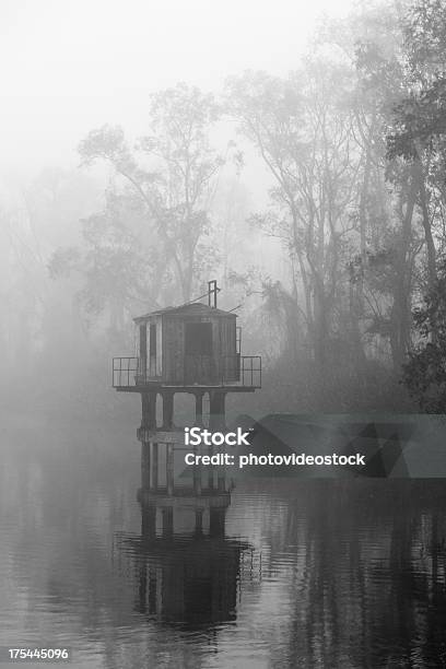 Scary Y Misteriosas Fogs Sobre Placid Al Río Foto de stock y más banco de imágenes de Abstracto - Abstracto, Agua, Aire libre