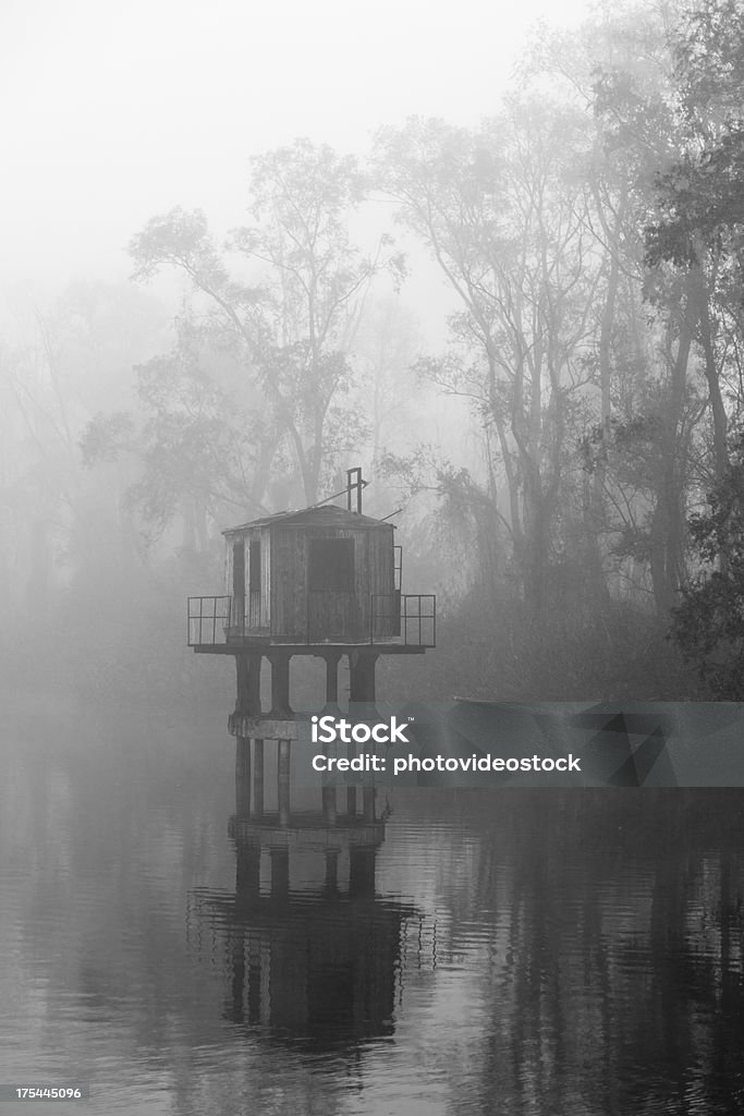Spaventoso e misteriosa Fogs sul placido fiume - Foto stock royalty-free di Acqua