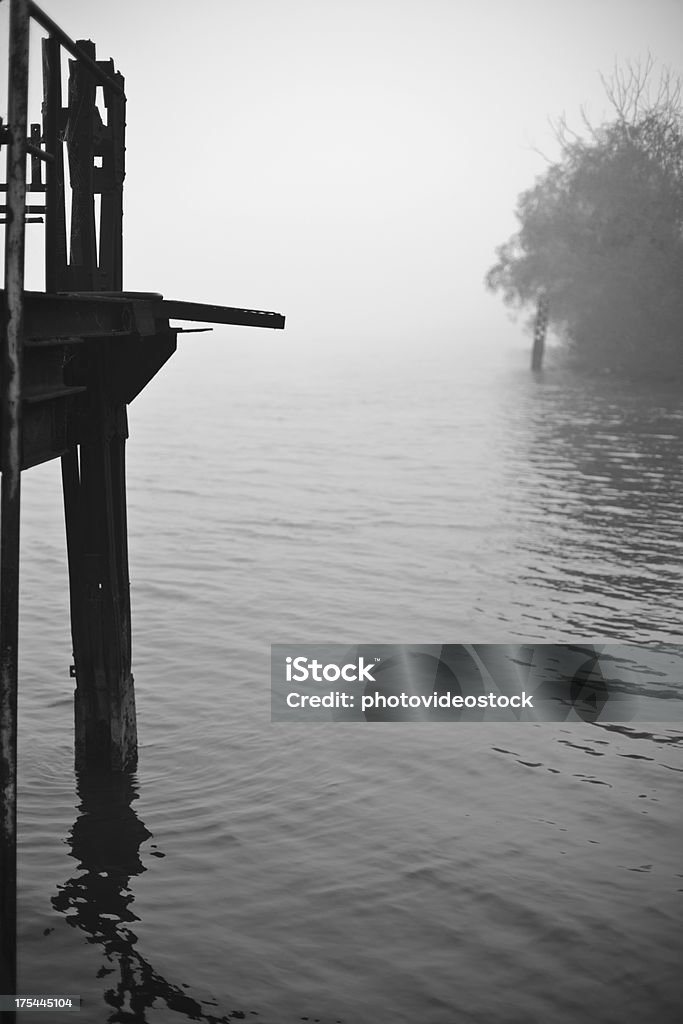 Spaventoso e misteriosa Fogs sul placido fiume - Foto stock royalty-free di Acqua