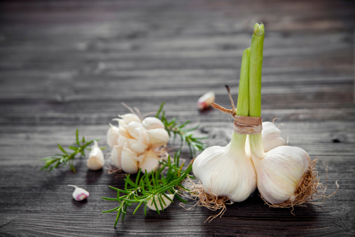 Fresh garlic bulbs and rosemary on a wooden background