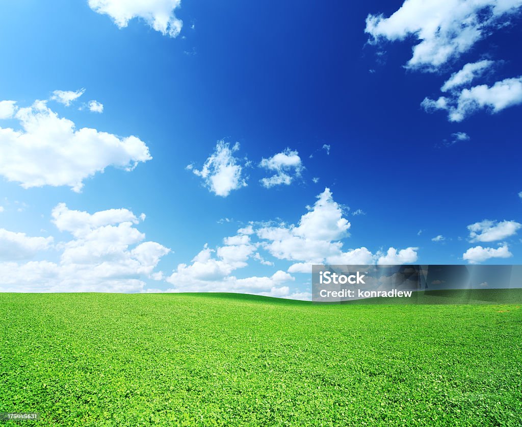 Verde paisaje de campo - Foto de stock de Azul libre de derechos