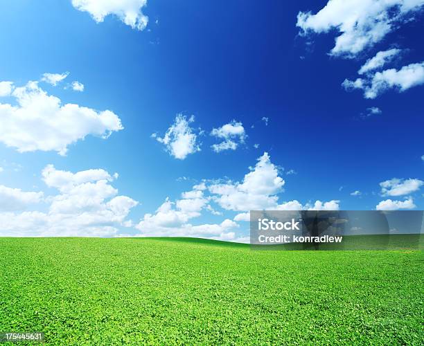 Verde Paisaje De Campo Foto de stock y más banco de imágenes de Azul - Azul, Campo - Tierra cultivada, Cielo