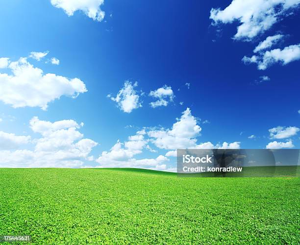 Zielone Pole Krajobraz - zdjęcia stockowe i więcej obrazów Chmura - Chmura, Fotografika, Horyzontalny