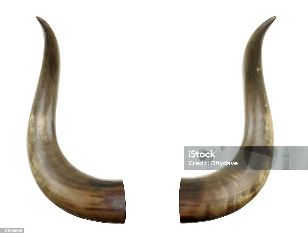 Cattle Horns Isolated On White Cattle horns isolated on white. Horned Stock Photo