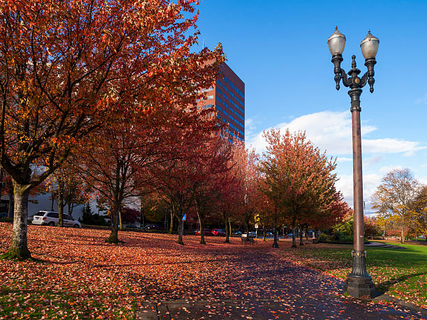 istock Portland Oregon park in Fall 175445972