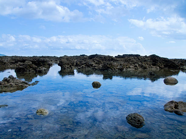 istock Silent beach at the Baltic Sea 175446235