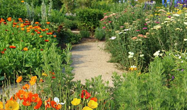 istock Herb and flower garden 175446793