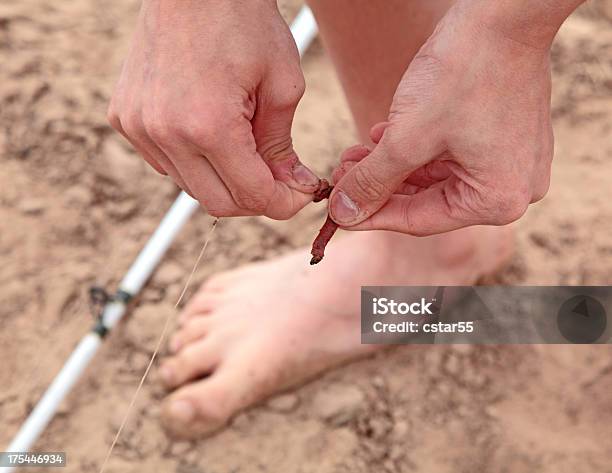 En Un Gancho De Tornillo Sin Fin Foto de stock y más banco de imágenes de Aire libre - Aire libre, Animal, Anzuelo de pesca