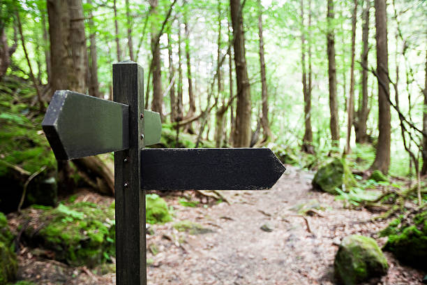 poste em uma floresta - directional sign wood sign footpath imagens e fotografias de stock