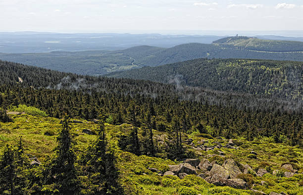 istock HDR of Harz National Park landscape (Germany) 175447755