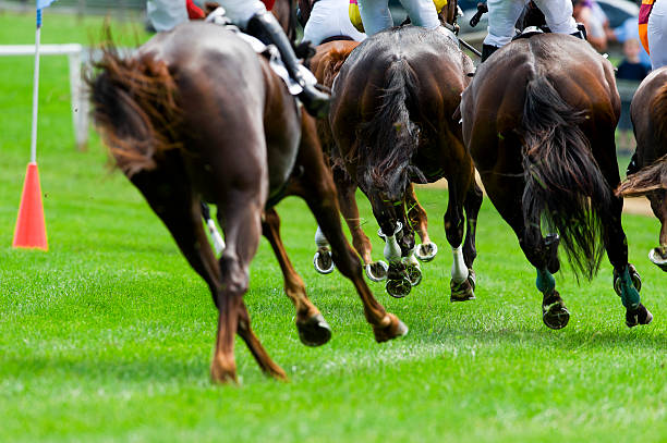 istock Steeplechase Horse Racing on turf rounding corner 175447886