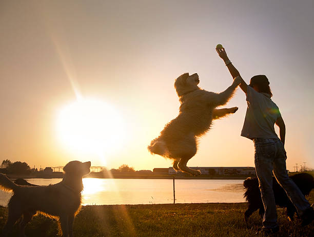 istock Young woman playing with her dog 175448059