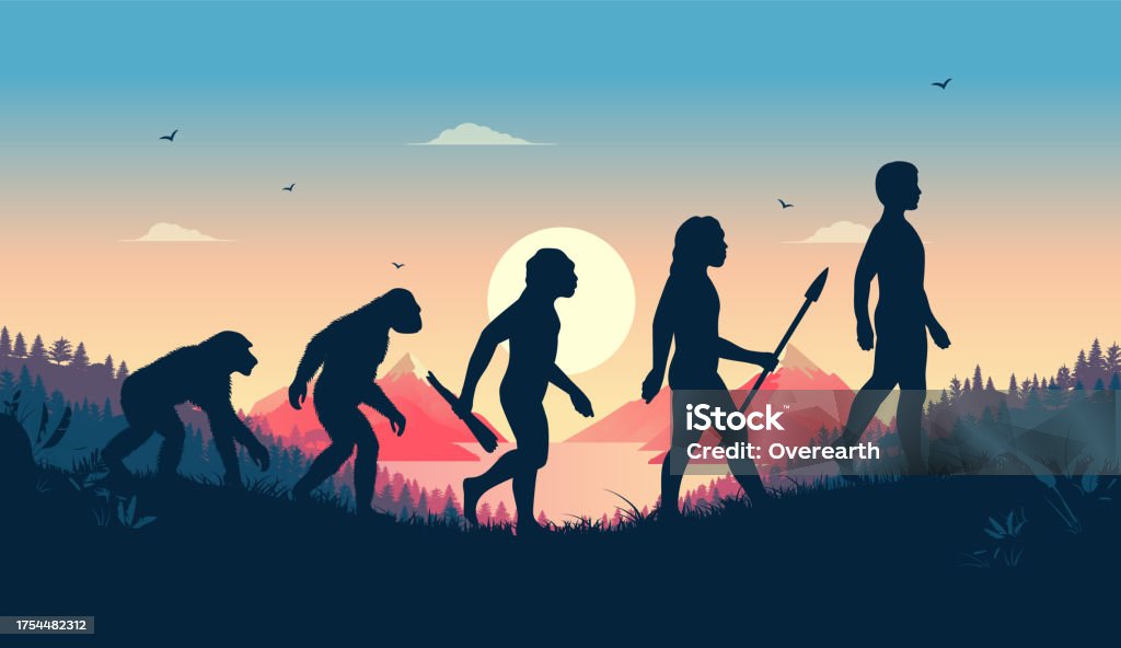 Human Evolution Front Image Human Evolution Illustration Stock Illustration - Download Image Now ...