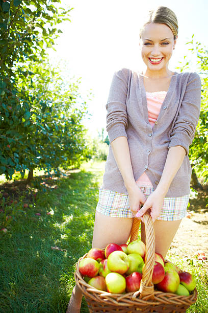 istock Heavy bundle of health 175448661
